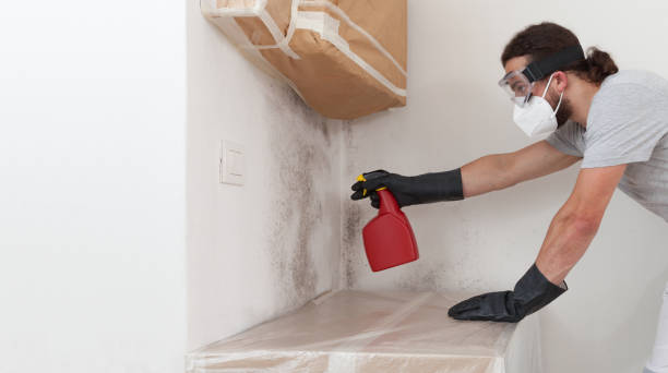 Professional Crawl Space Mold Removal technician working in Elkton, KY